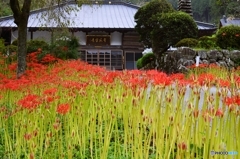 常楽寺（真言宗豊山派）