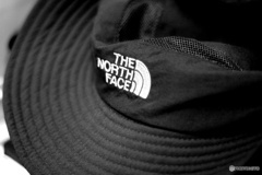 TNF
