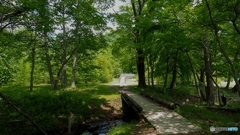 湖畔の遊歩道②