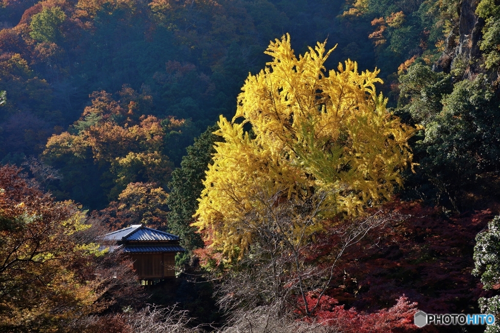 行道山 浄因寺