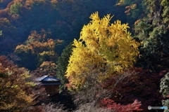 行道山 浄因寺