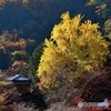 行道山 浄因寺