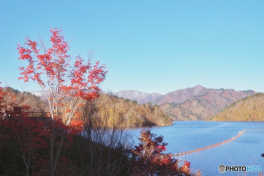 奥利根湖②