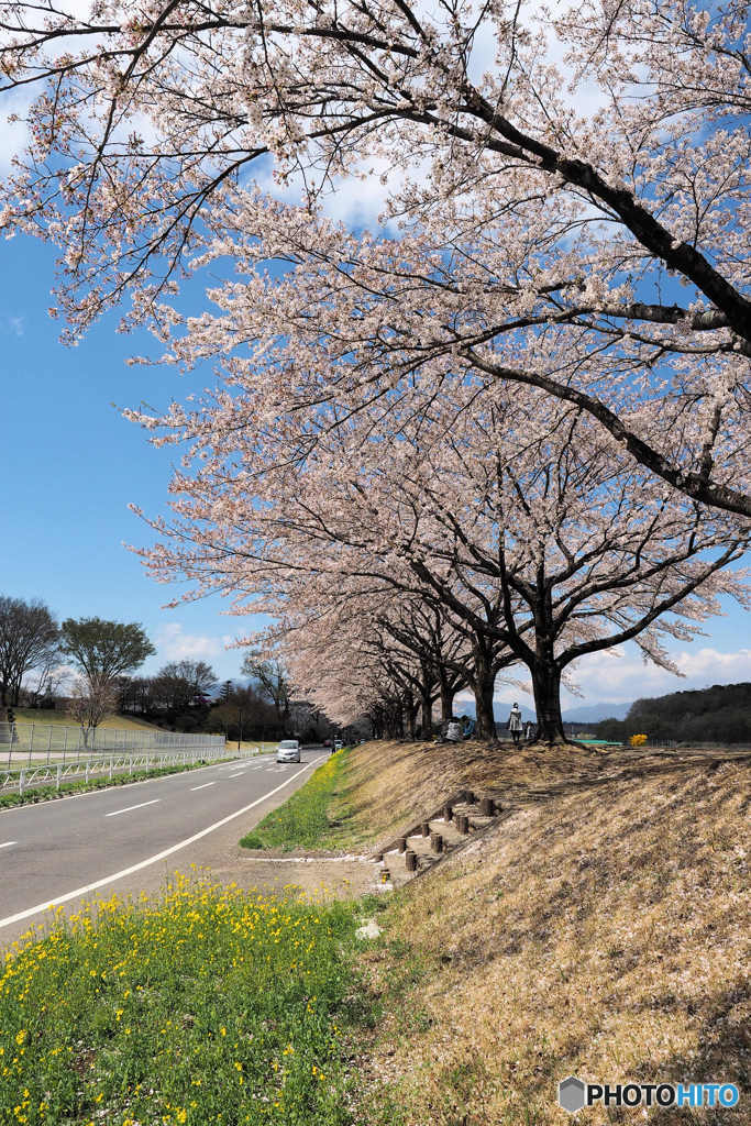 那珂川河畔公園②
