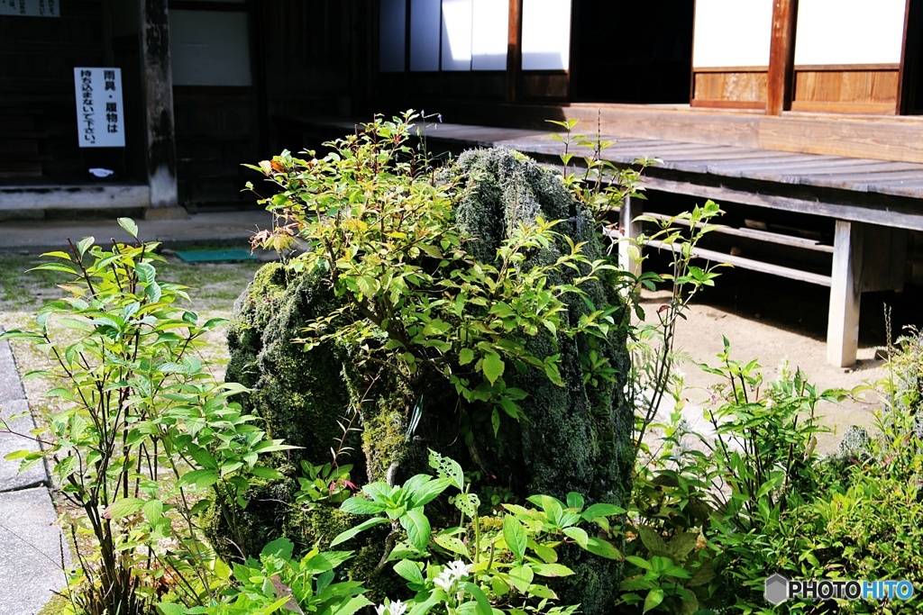 光前寺③