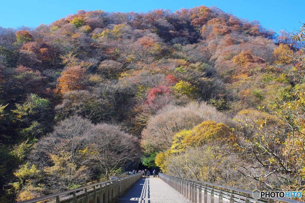 めがね橋②