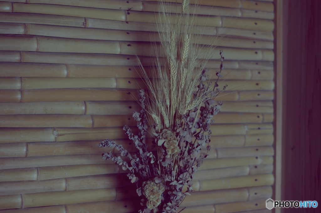 ドライフラワー