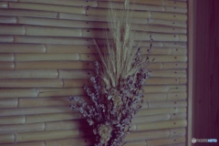 ドライフラワー