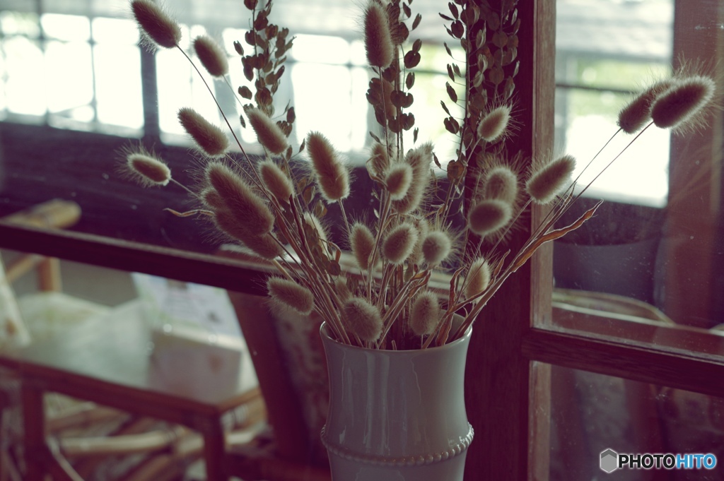 ドライフラワー