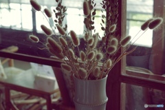 ドライフラワー