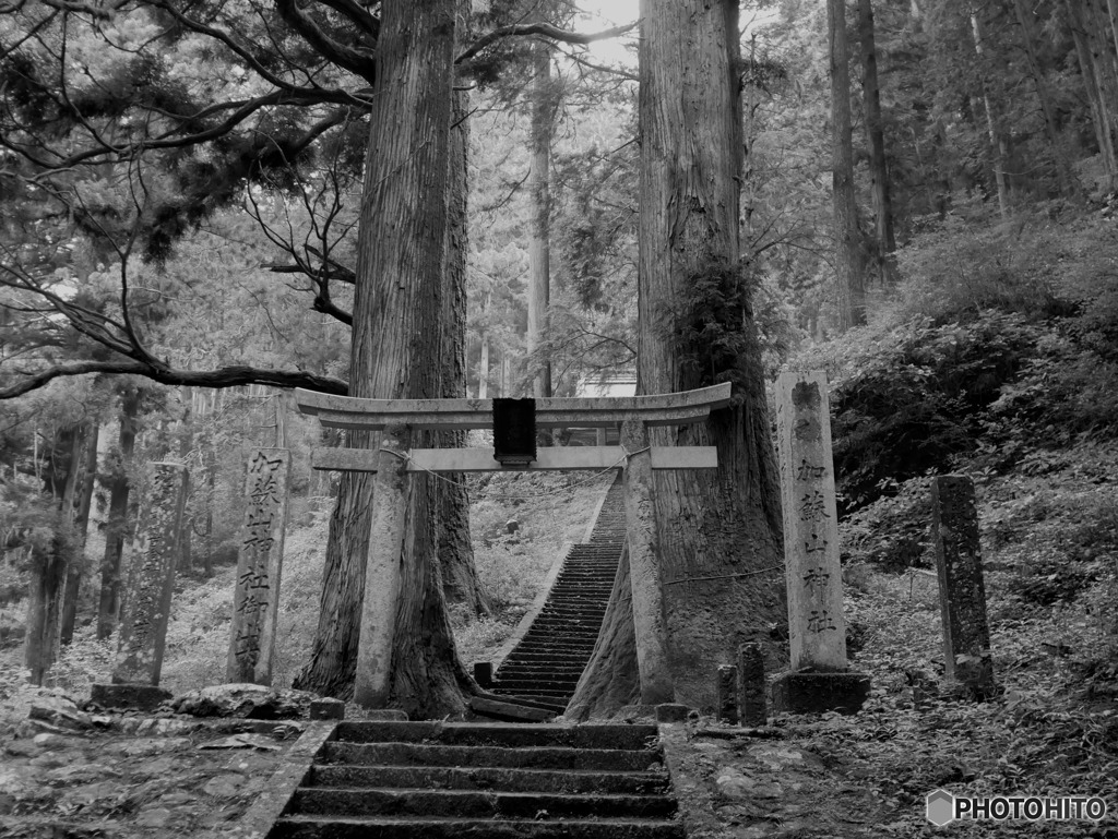 奈良時代から続く古社