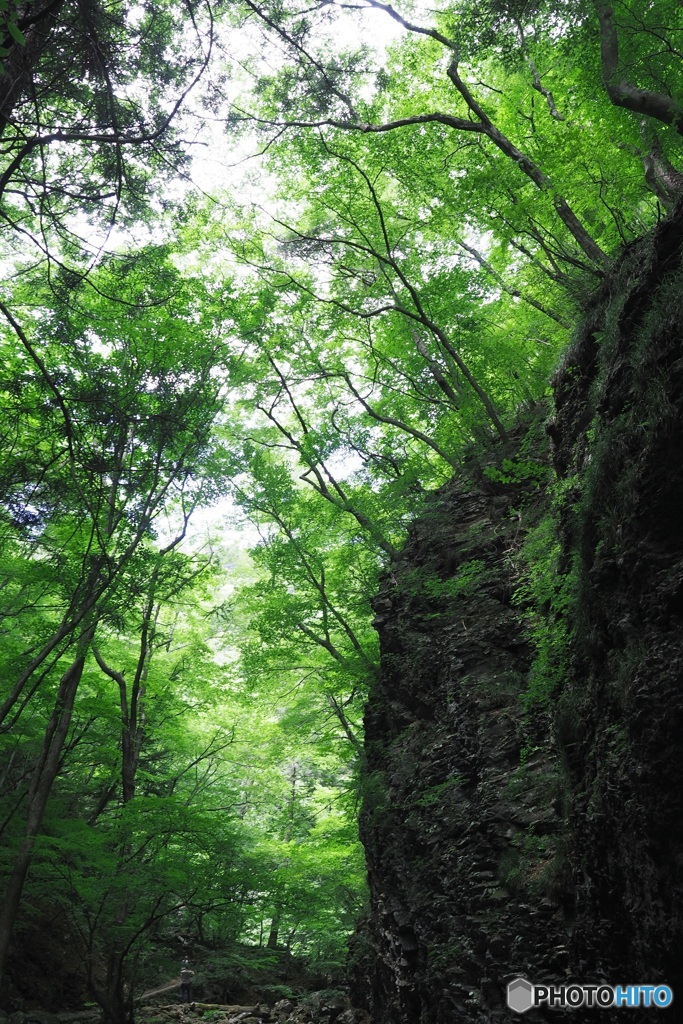 緑の渓谷