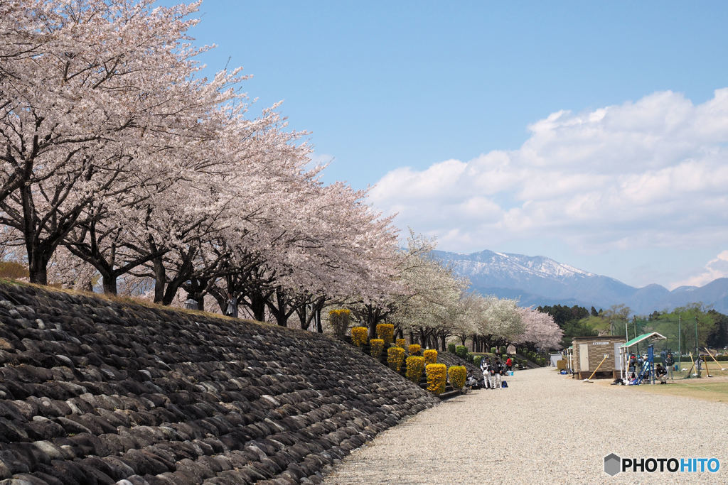 那珂川河畔公園③