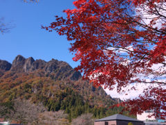 妙義山の紅葉