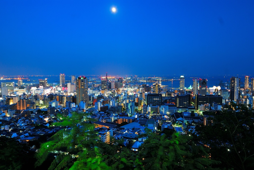 ヴィーナスブリッジからの夜景