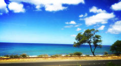 車窓よりハワイの海