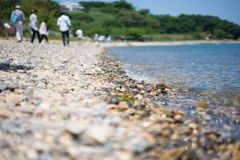 初夏のような波打ち際