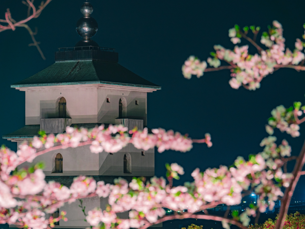 夜桜と塔 2
