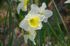 IMGP8273