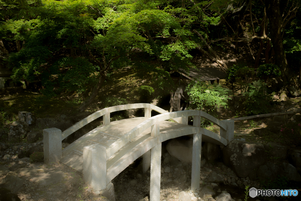 尾関山公園　清心池