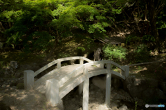 尾関山公園　清心池