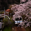 口羽駅付近の桜と三江線2017-トリミング