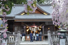 花舞う街で