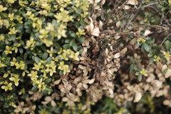 p170422-1