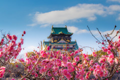 梅林に浮かぶ城