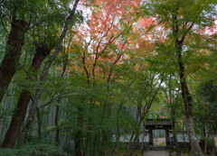 地蔵院