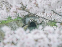 大津琵琶湖疎水