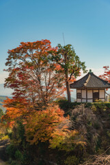 善峯寺の紅葉