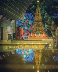 京都駅　クリスマスイルミネーション