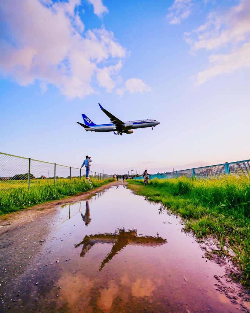 伊丹空港　千里川土手