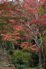 葉室浄住寺