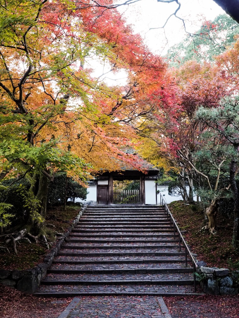 京都 安楽寺の紅葉