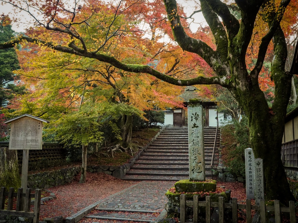 京都 安楽寺の紅葉