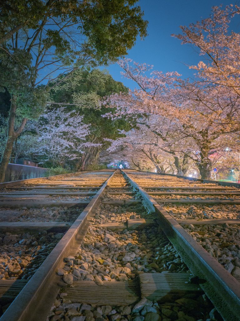 蹴上インクラインの桜