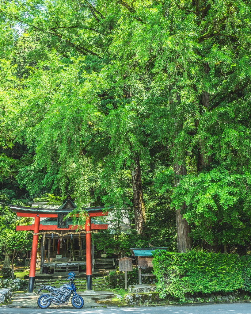 岩戸落葉神社のおおあ