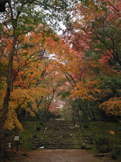 浄住寺の紅葉