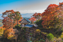 善峯寺の紅葉