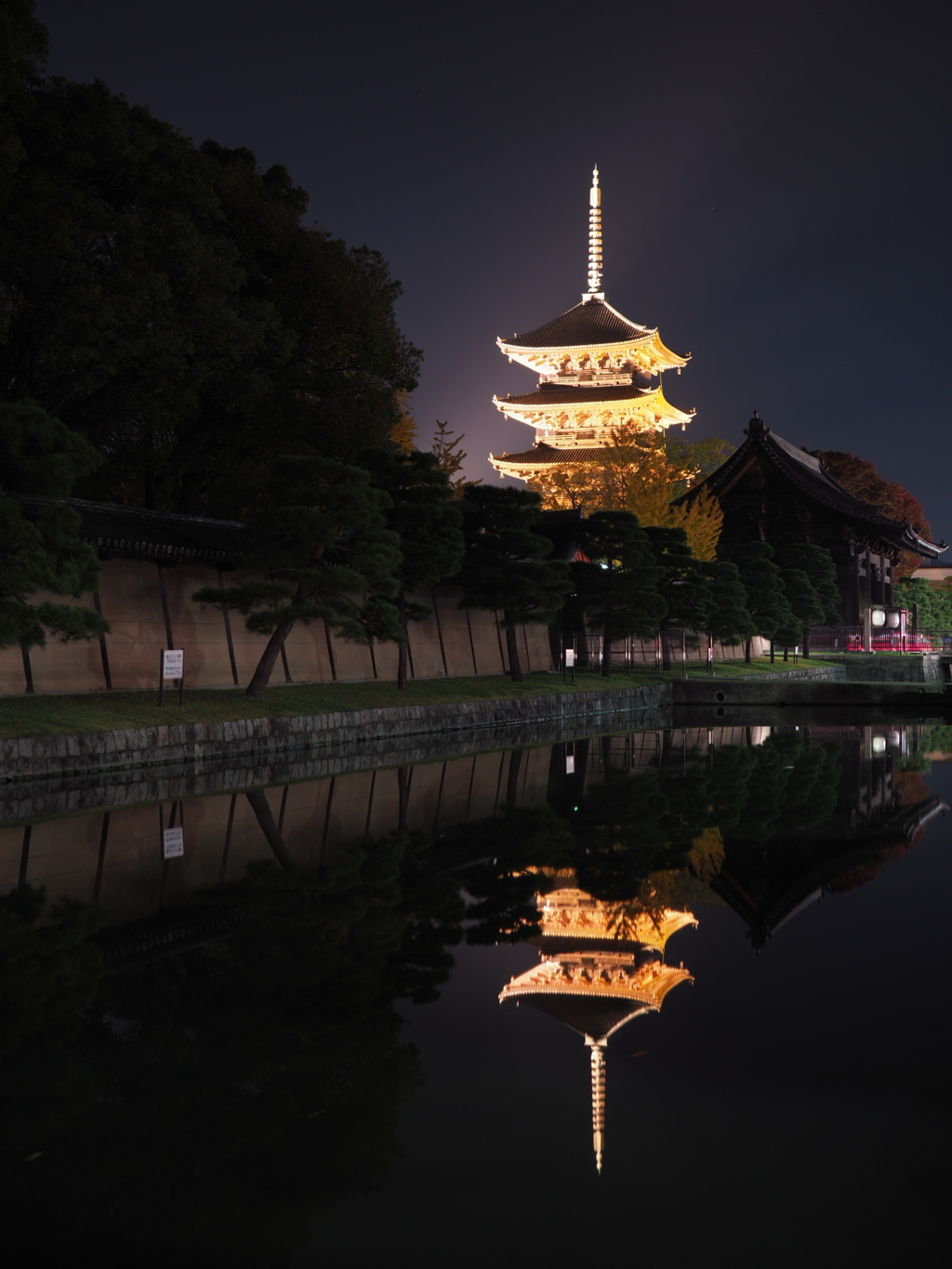 東寺 2017 秋のライトアップ