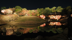 梅小路公園 紅葉まつり