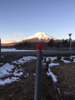 いい眺め