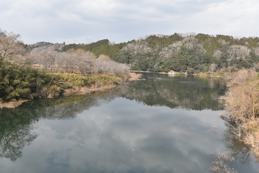 冬の晴れ間の歯医者の帰り①