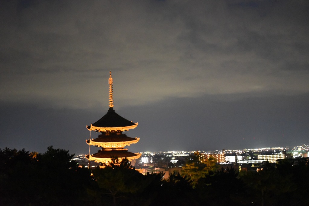 県庁より