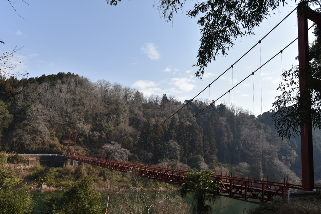 冬の晴れ間の歯医者の帰り②