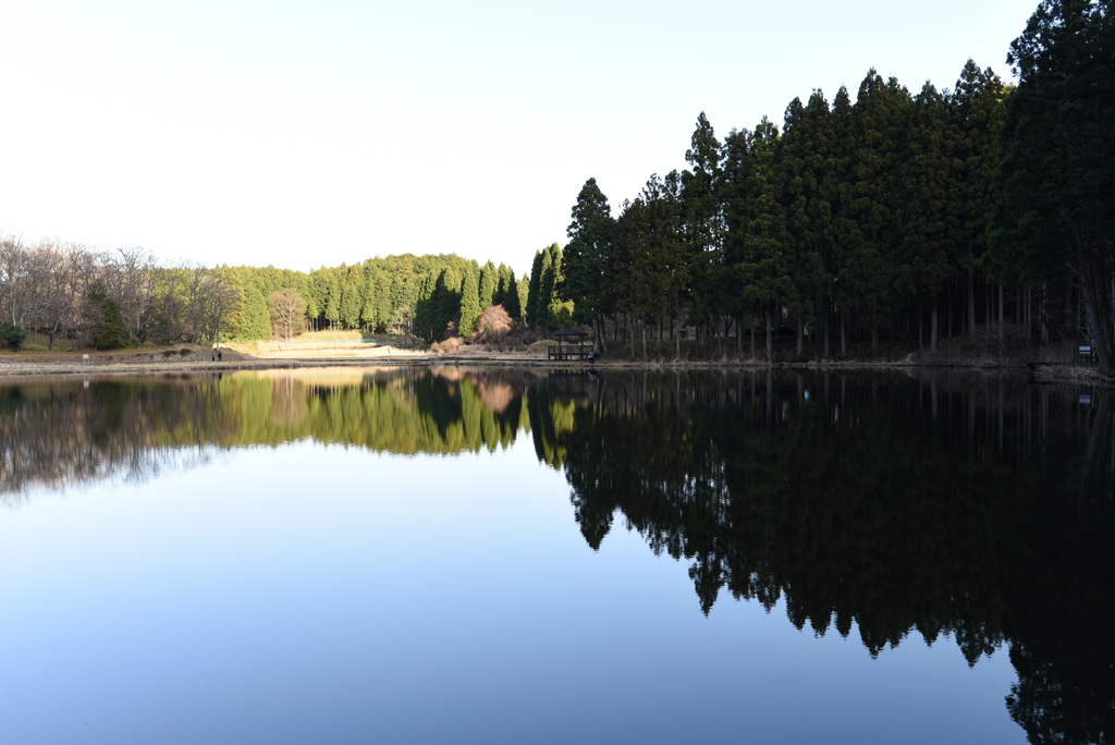 reflection