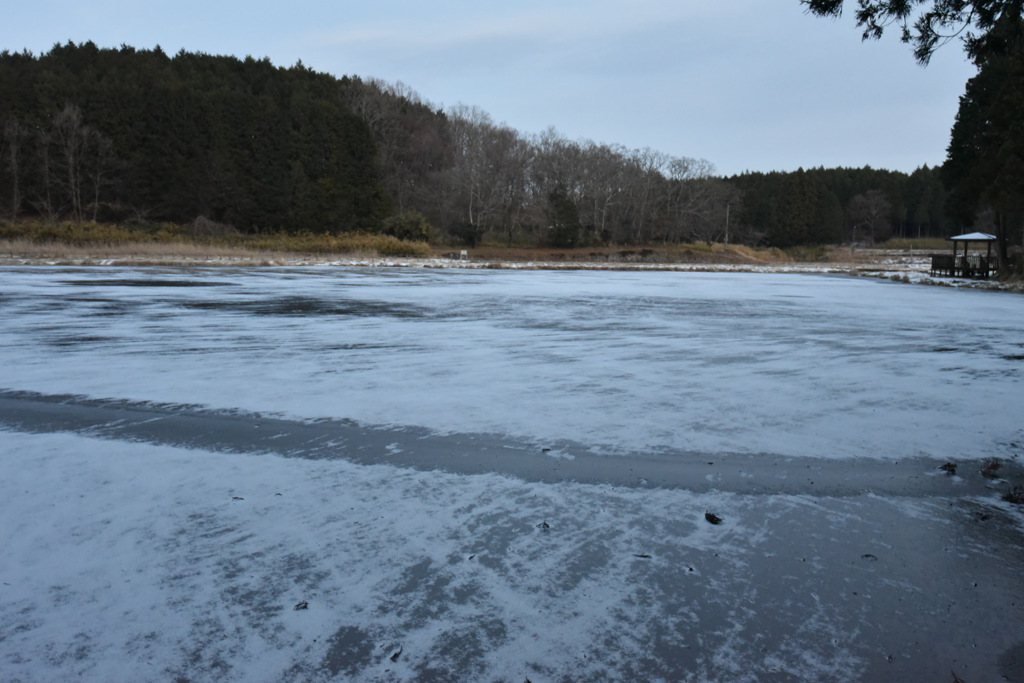 氷の道