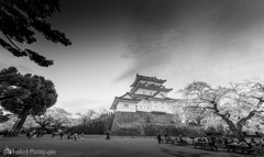 小田原城